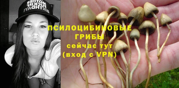 прущая мука Володарск