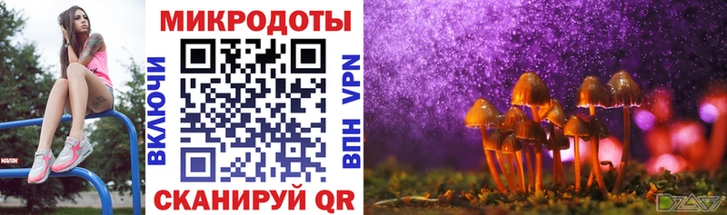 Псилоцибиновые грибы MAGIC MUSHROOMS  Купить закладки  Межгорье 